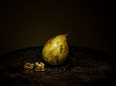 фото "Груша Елене"
