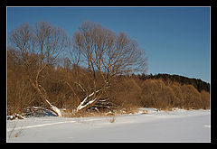 photo "***"