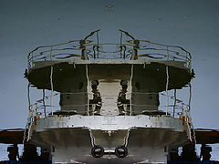 photo "Ready to go"