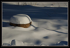 photo "The Cap"