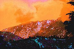 фото "Sherbet Skies"