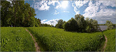 photo "Curve summer landscape"