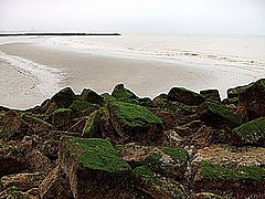 photo "Wild sea."