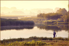 photo "About a crucian... =)"