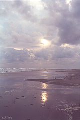 photo "Sun only"