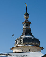 фото "Птица"