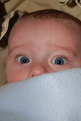photo "?????"