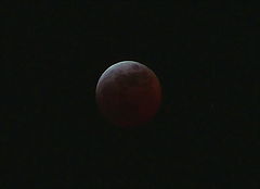 фото "Totall Eclipse Of The Moon"