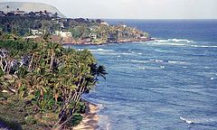 photo "Paradise"