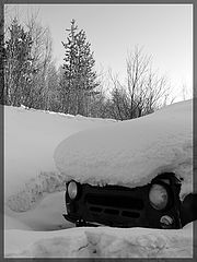 фото "...забытый..."