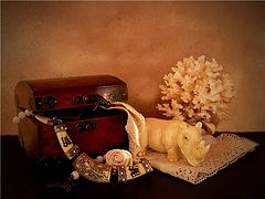 photo "***"