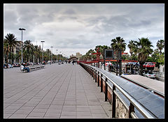 photo "Barsa"