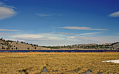 фото "Marshland"