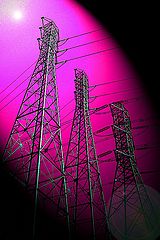 фото "Power To The Purple"