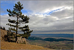 photo "At edge HoheWand"