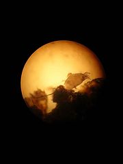 фото "In the mool light"