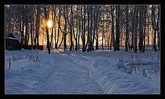 photo "morning"
