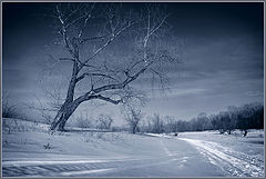 photo "***"