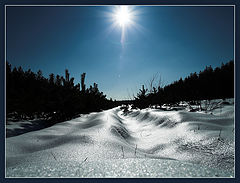 photo "Winter"