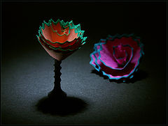 фото "*"