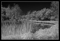 photo "***"
