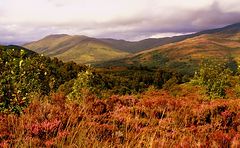 photo "The Trossachs, Scotland"