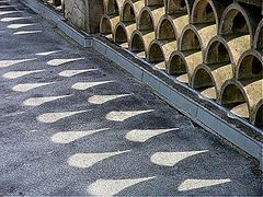 фото "Shadow."