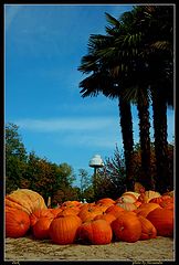 фото "Park"