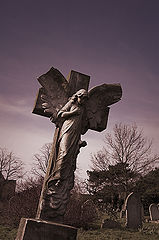 фото "falling angel"