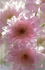 photo "***"