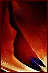 photo "Stir up passion"