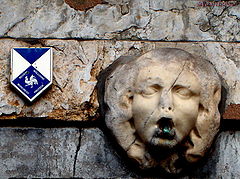 photo "From where ???"