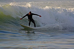 фото "surfing"