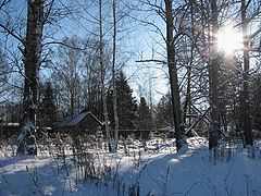 фото "Ашукино"