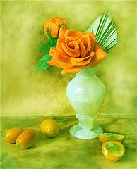 photo "***"