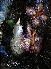 photo "***"