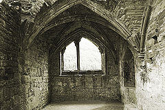 фото "Abbey's window"