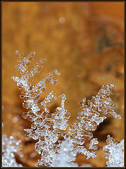 photo "Toys of Snow Queen"