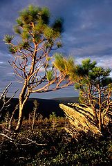 фото "Evening in mountains."
