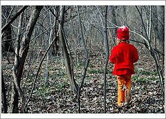 photo "Lost"