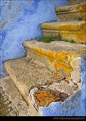 фото "Stairs"