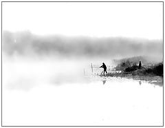 photo "***"