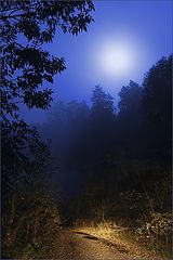 photo "***"