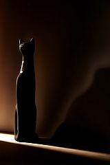 фото "light\shadow"