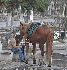 photo "Spring, and to be rolled nobody wants:- ("