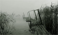 photo "melancholy"