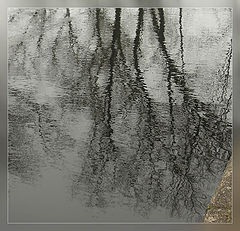 photo "***"