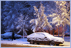 photo "Winter in the yard"