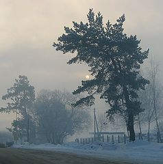 фото "Последние зимние туманы."