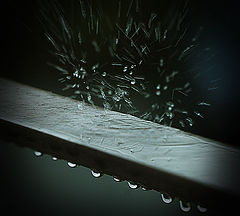 photo "***"